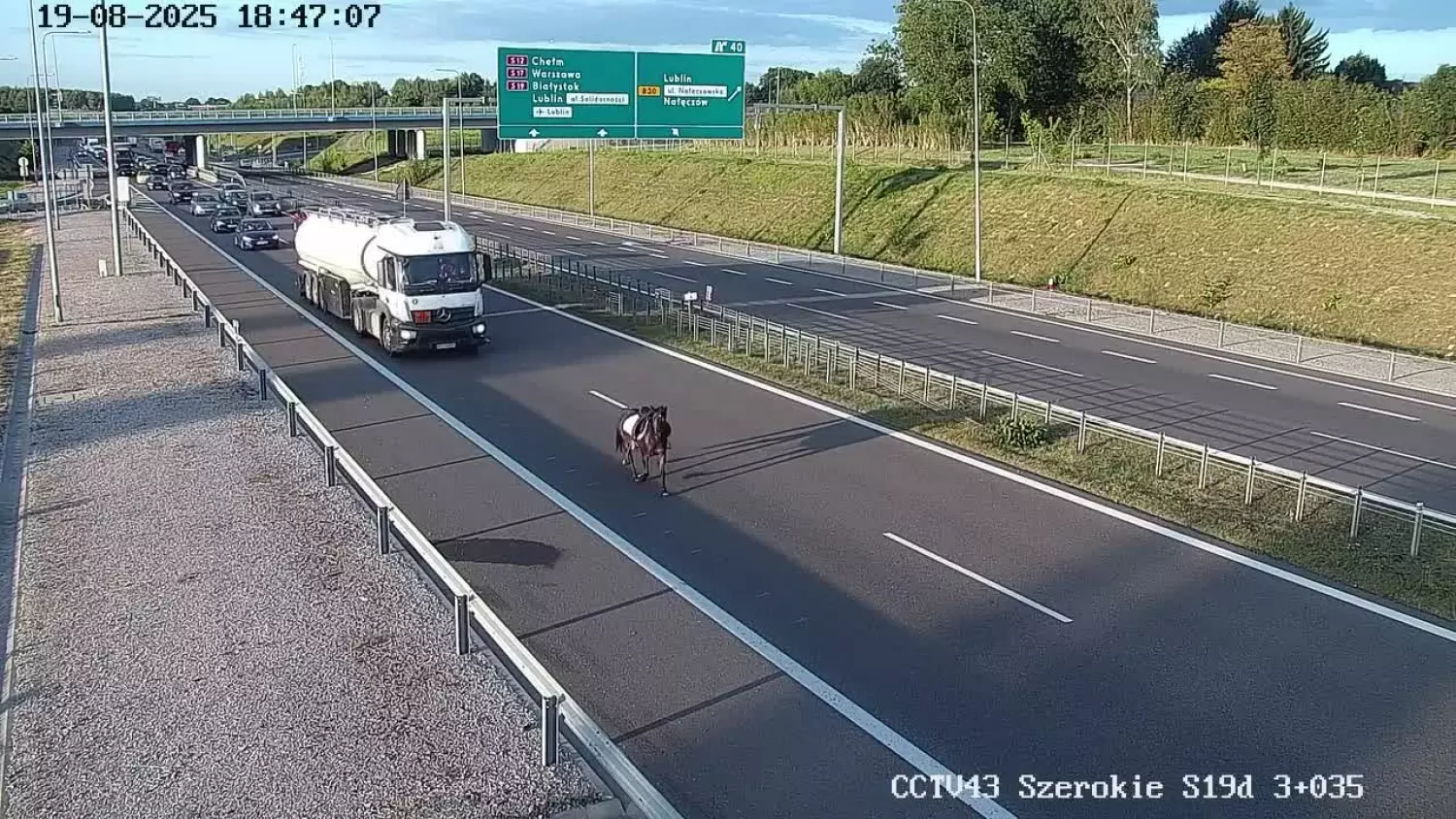 fdownloadernet-aqn8xrsxx9qeqi0w4f227gnzi70f1xwncpoj4ued6owkkqthk3oztmtzfx4-58e6wop0wwktfvz6rtp5uesrkvnqlmvu-tv7nyavm0775-yvq-720p-hd.mp4